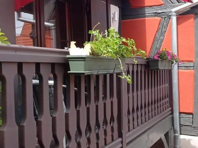 Apartment Stunning In Heart Of La *